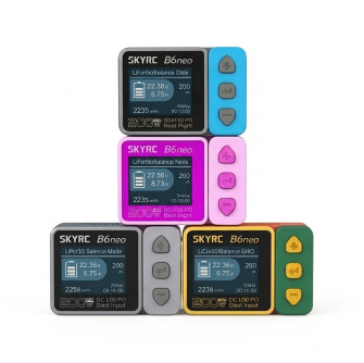 SkyRC B6Neo Charger
